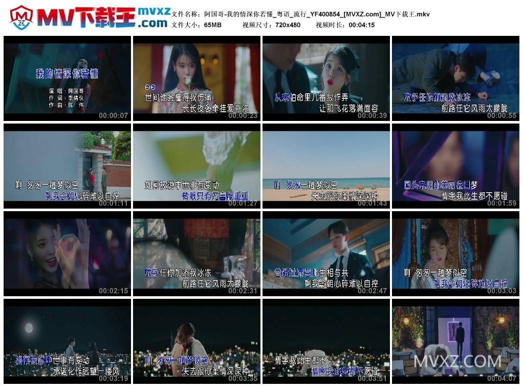 阿国哥-我的情深你若懂_粤语_流行_YF400854